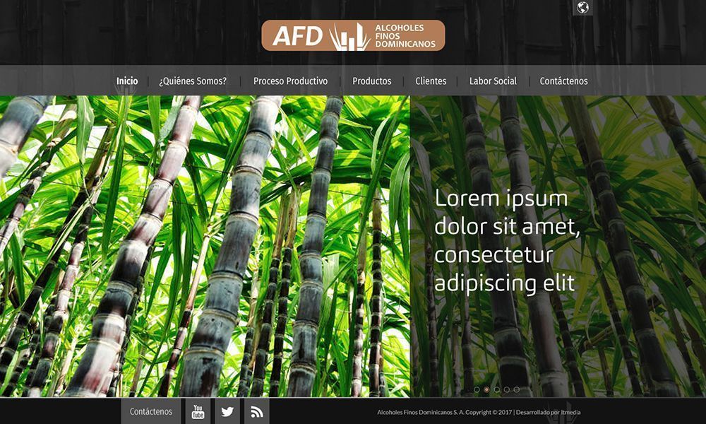 desarrollo-web-alfidom_1531496812.jpg